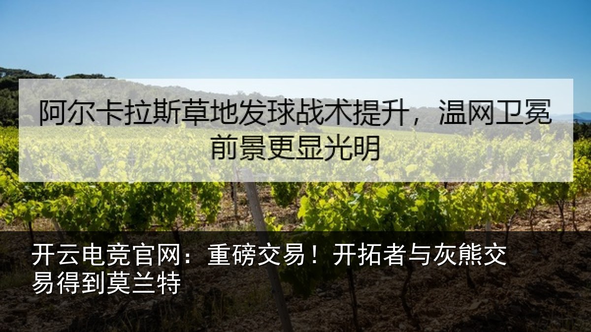 开云电竞官网:重磅相关情况交易得到莫兰特