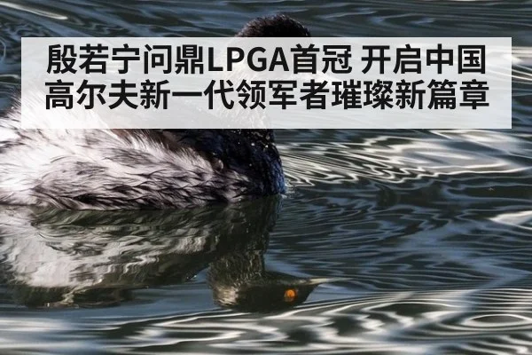 殷若宁问鼎LPGA首冠 开启中国高尔夫新一代领军者璀璨新篇章